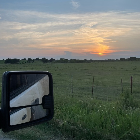 Meet your Posher, Elizabeth - Picture 6 of 10